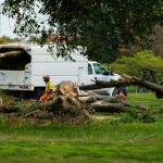News Wrap: Federal judge clashes with DOJ over DC golf course