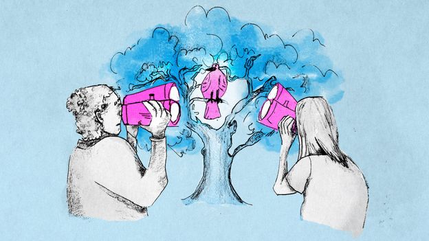 Birdwatching rewires the brain and slows cognitive decline - BBC