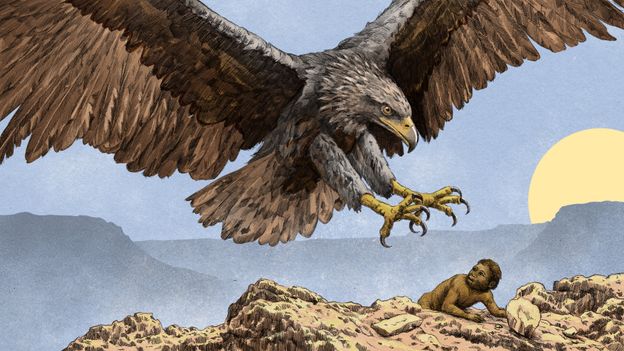 Once upon a time, giant eagles ruled the sky. They kidnapped human children and shaped our evolution
