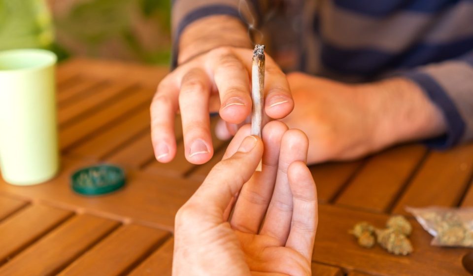 Marijuana legalization linked to worrying health trend: study Marijuana legalization linked to worrying health trend: study
