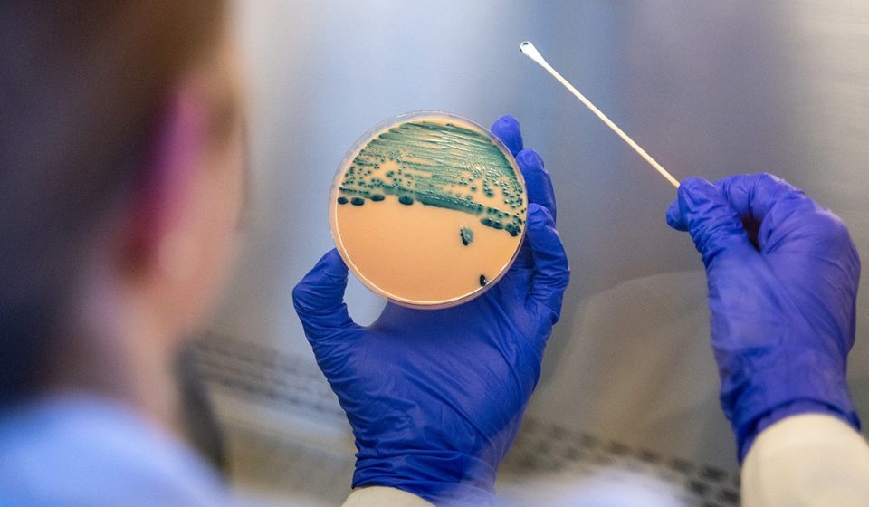Shigella antibiotic resistance increases as drug-resistant strains grow