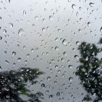 See San Diego County's rainfall totals so far – NBC 7 San Diego