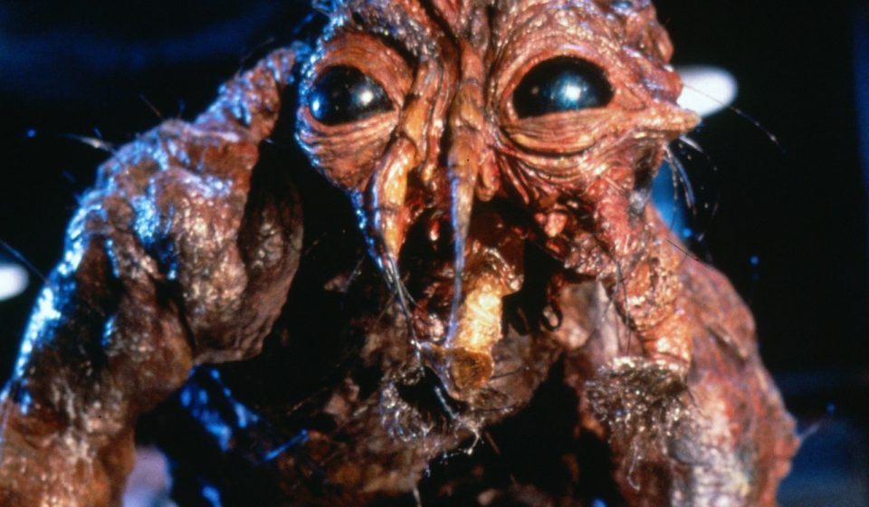 James Gunn Recommends 12 Body Horror Movies to Watch Before Seeing 'Clayface'