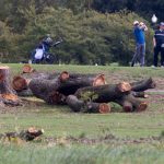 Judge blocks deforestation of Trump's East Potomac golf course: NPR