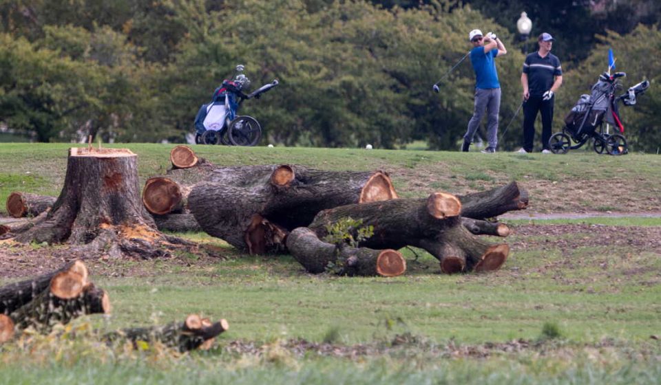 Judge blocks deforestation of Trump's East Potomac golf course: NPR