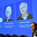 Nobel Prize in Medicine Rewards 3 Scientists for Research on Brain Activity: NPR