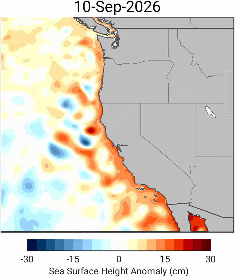 El Niño-driven Kelvin wave hits West Coast: NPR El Niño-driven Kelvin wave hits West Coast: NPR