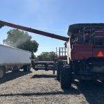 Tinted Diesel Executive Orders Aimed to Provide Relief Also Sow Confusion