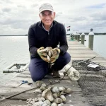 Oyster stocks have plunged in the Chesapeake. This resident wants to bring them back: NPR