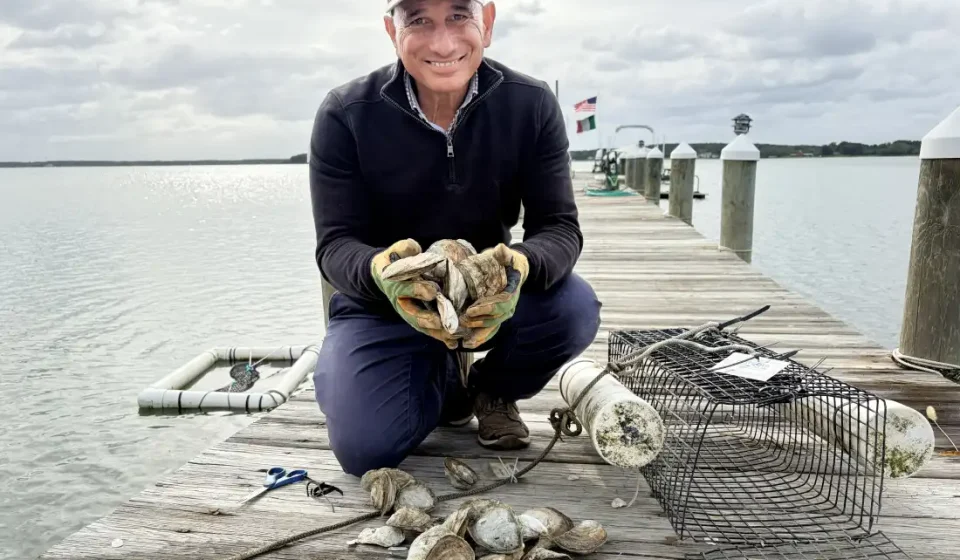 Oyster stocks have plunged in the Chesapeake. This resident wants to bring them back: NPR Oyster stocks have plunged in the Chesapeake. This resident wants to bring them back: NPR