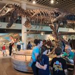 Philadelphia Academy of Natural Sciences closes after nearly 200 years: NPR
