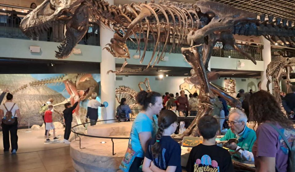 Philadelphia Academy of Natural Sciences closes after nearly 200 years: NPR
