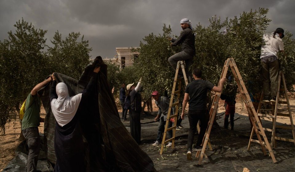 Israeli soldiers shot dead in West Bank attack and other Middle East news