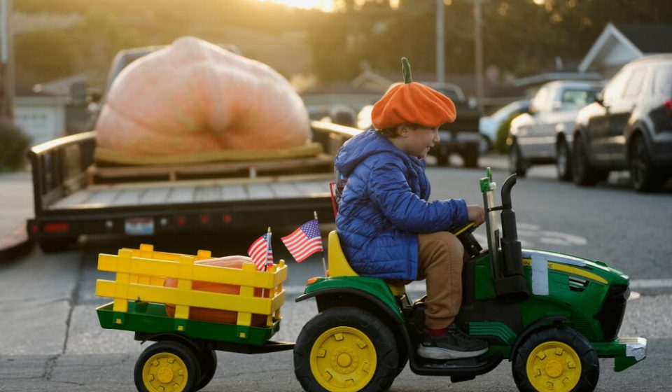 A pumpkin named Rocky tips the scales and takes the crown in California