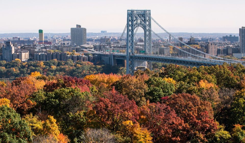 Driver shot dead on George Washington Bridge
