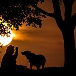 It's time to turn back Sunday as daylight saving time ends