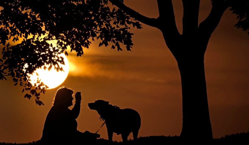 It’s time to turn back Sunday as daylight saving time ends It's time to turn back Sunday as daylight saving time ends