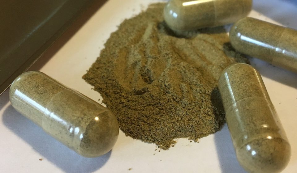 Republican Senators Urge Trump Administration to Crack Down on Kratom – Live Updates
