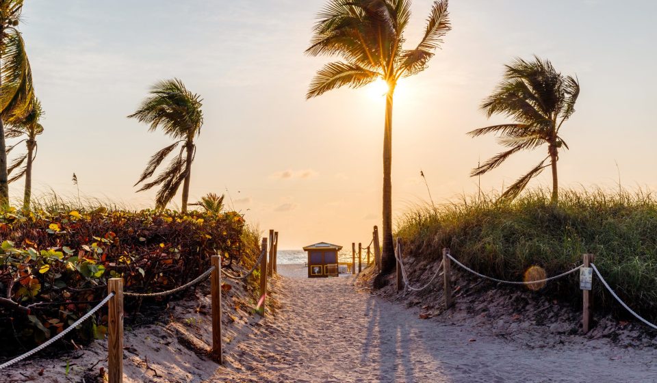 Dengue outbreak in Florida: what you need to know