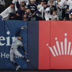 Yankees equal human resources removed after fan interference
