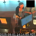 Wanying "Heather" Zhang: California woman arrested for spying for China and monitoring Taiwan president's son, officials say