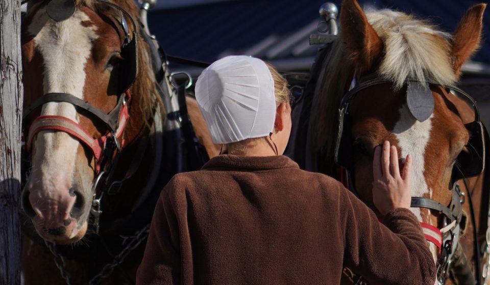 As measles outbreak hits Pennsylvania's Amish Country, more people are becoming open to vaccines
