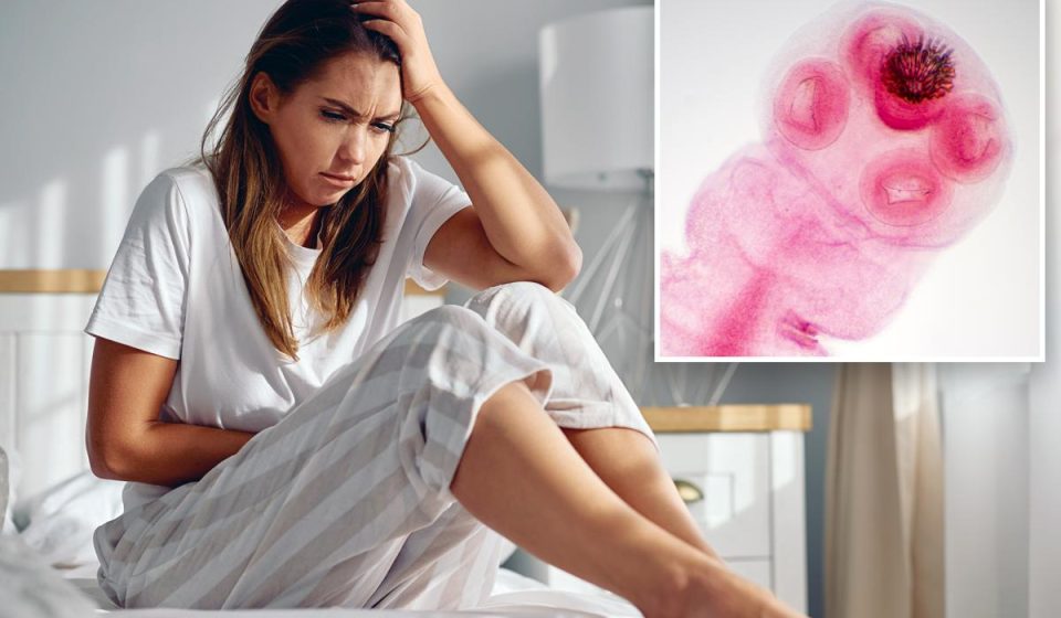 Tapeworm drug could treat disease that affects 190 million women Tapeworm drug could treat disease that affects 190 million women